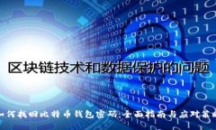 如何找回比特币钱包密码