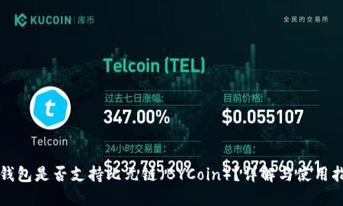 TP钱包是否支持比元链(BYCoin)?详解与使用指南