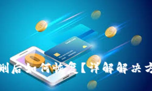 TP钱包误删后如何恢复?详解解决方案与步骤