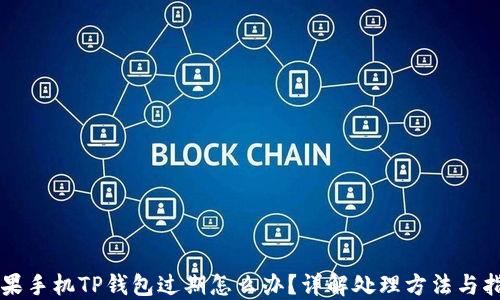 苹果手机TP钱包过期怎么办?详解处理方法与指南