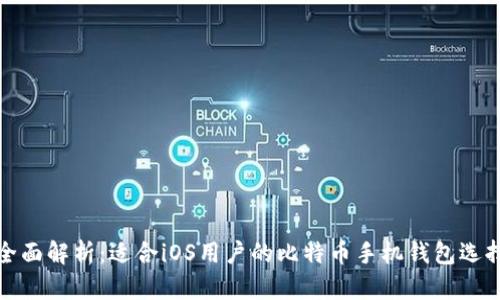全面解析:适合iOS用户的比特币手机钱包选择