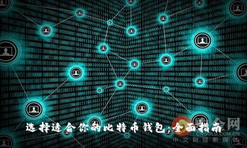 选择适合你的比特币钱包:全面指南