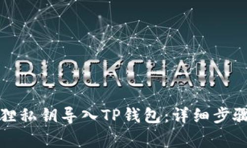 如何将小狐狸私钥导入TP钱包:详细步骤与注意事项