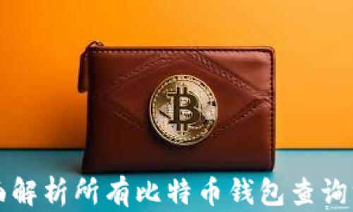 全面解析所有比特币钱包查询方法