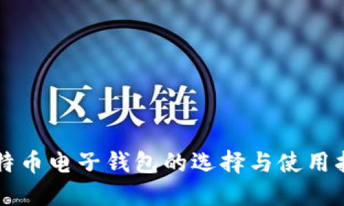 比特币电子钱包的选择与使用指南