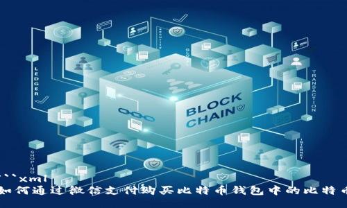 ```xml
如何通过微信支付购买比特币钱包中的比特币