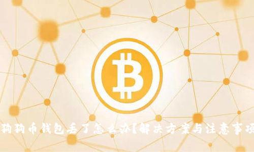 狗狗币钱包丢了怎么办?解决方案与注意事项