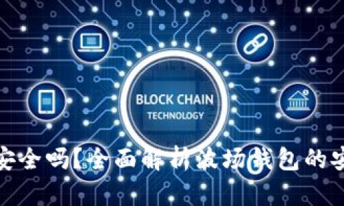 TP波场钱包安全吗?全面解析波场钱包的安全性与风险