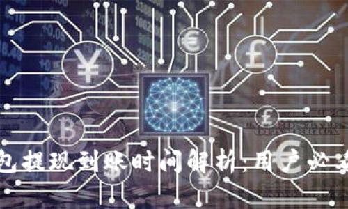 TP钱包提现到账时间解析:用户必看指南