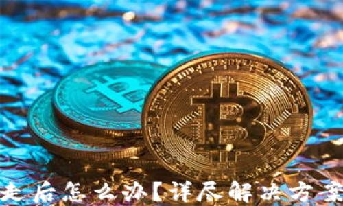 TP钱包被转走后怎么办?详尽解决方案与预防措施