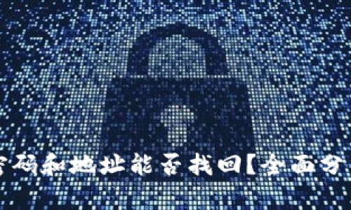 tP钱包密码和地址能否找回?全面分析与指导
