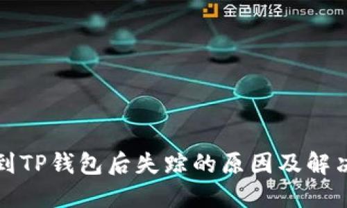 提币到TP钱包后失踪的原因及解决方案