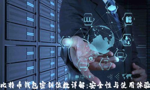 比特币钱包密钥位数详解:安全性与使用体验