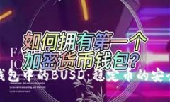 理解TP钱包中的BUSD：稳定