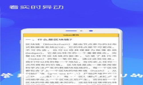如何安全地管理和使用10万U的TP钱包资金