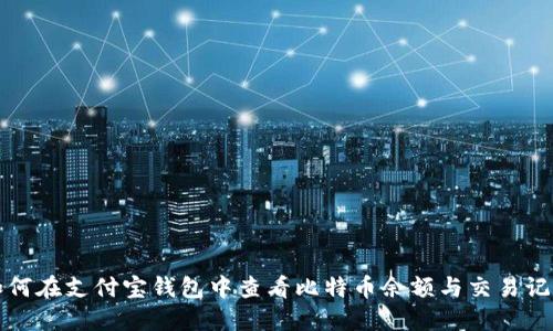 如何在支付宝钱包中查看比特币余额与交易记录