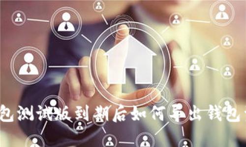 2023年TP钱包测试版到期后如何导出钱包资产详细指南