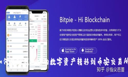 如何将TP钱包中的数字资产转移到币安交易所?
