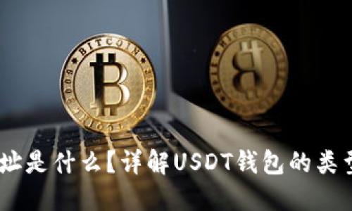 USDT钱包地址是什么?详解USDT钱包的类型与使用技巧