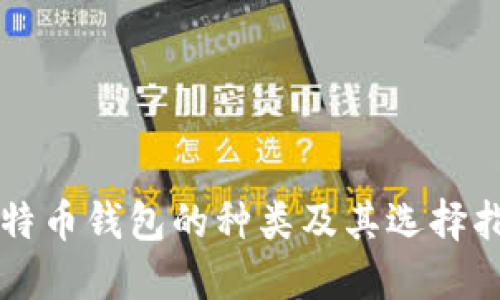 比特币钱包的种类及其选择指南