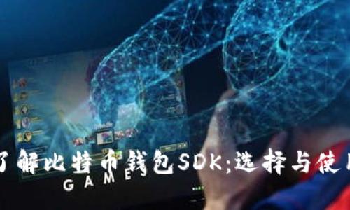 深入了解比特币钱包SDK:选择与使用指南