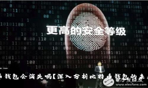 比特币钱包会消失吗?深入分析比特币钱包的未来趋势