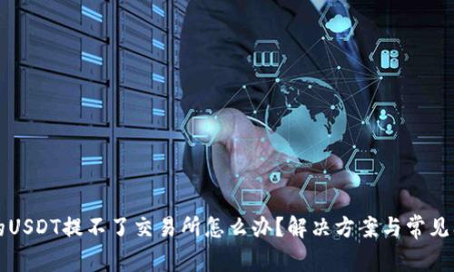 钱包里的USDT提不了交易所怎么办?解决方案与常见问题解析