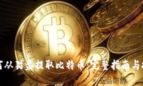 如何从猫盘提取比特币:完整指南与技巧