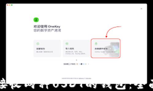 如何接收两种USDT的钱包:全面指南