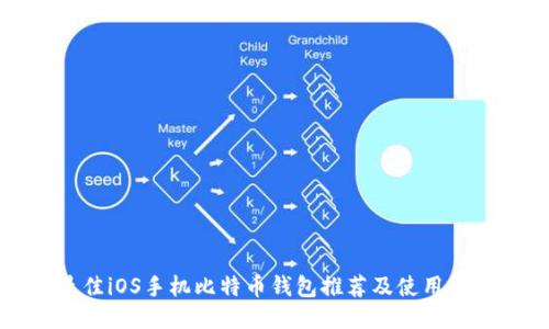最佳iOS手机比特币钱包推荐及使用指南