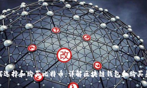 如何选择和购买比特币:详解区块链钱包和购买渠道