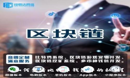 : 如何查看比特币钱包中的私钥?