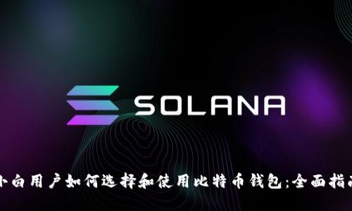 小白用户如何选择和使用比特币钱包:全面指南
