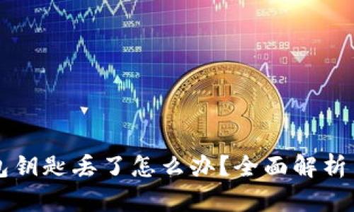 以太坊钱包钥匙丢了怎么办?全面解析与解决方案