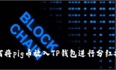 如何将pig币放入TP钱包进行