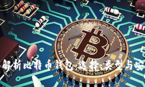 全面解析比特币钱包:选择、类型与安全性
