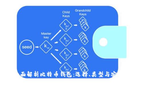 全面解析比特币钱包:选择、类型与安全性