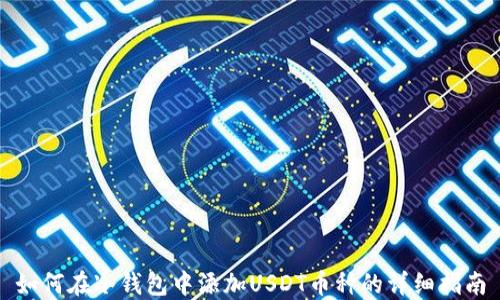 如何在冷钱包中添加USDT币种的详细指南