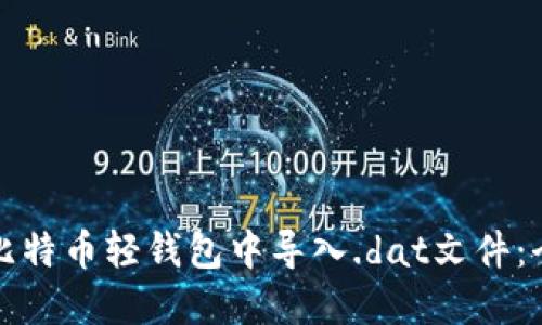 如何在比特币轻钱包中导入.dat文件:全面指南
