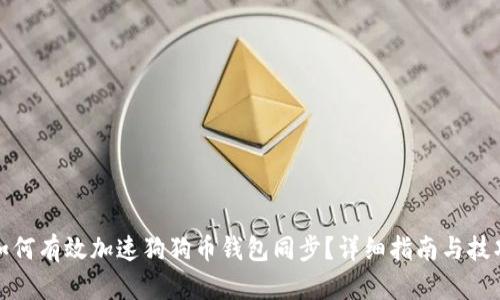 如何有效加速狗狗币钱包同步?详细指南与技巧