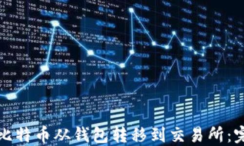 如何将比特币从钱包转移到交易所:完整指南