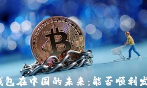 TP钱包在中国的未来:能否顺利发展?