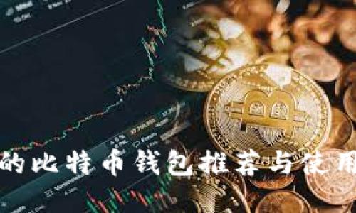 领先的比特币钱包推荐与使用指南