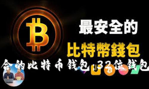 如何选择适合的比特币钱包:32位钱包的全面分析