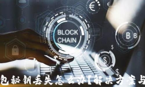 比特币钱包秘钥丢失怎么办?解决方案与应对策略