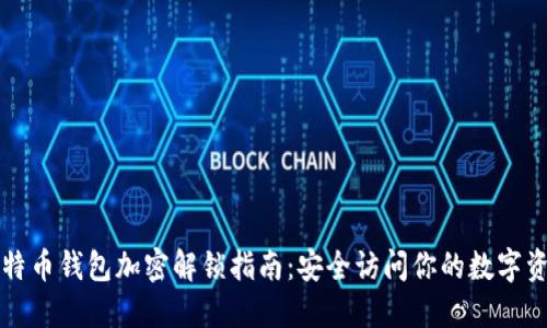 比特币钱包加密解锁指南:安全访问你的数字资产