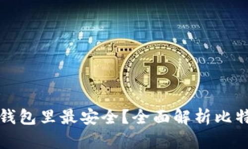 比特币存在哪种钱包里最安全?全面解析比特币钱包的安全性