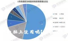 t P钱包能在电脑上使用吗
