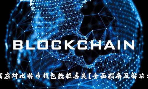 如何应对比特币钱包数据丢失？全面指南及解决方案