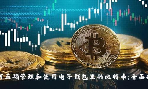 如何正确管理和使用电子钱包里的比特币:全面指南